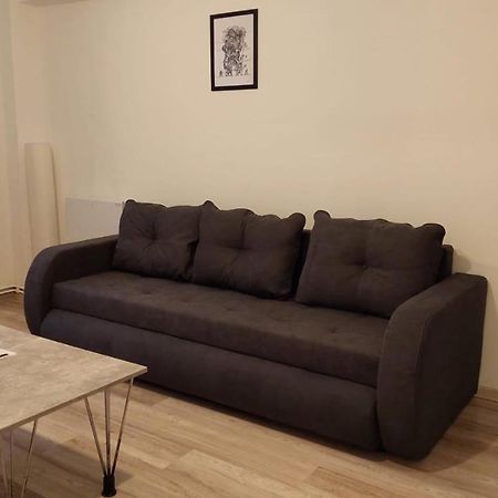 Youth Central Apartment Târgu-Mureş エクステリア 写真