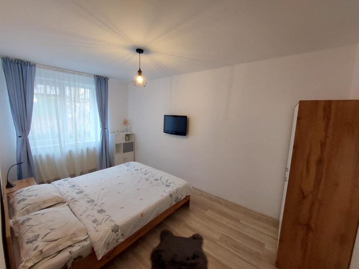 Youth Central Apartment Târgu-Mureş エクステリア 写真