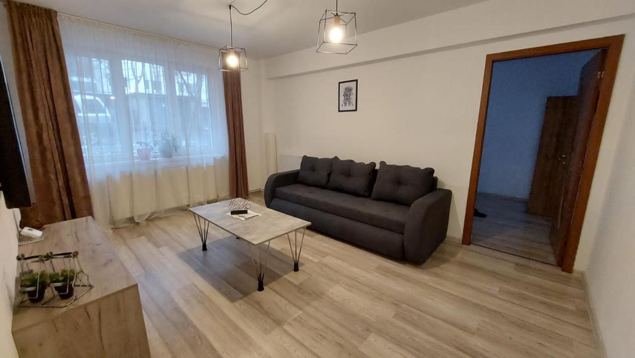 Youth Central Apartment Târgu-Mureş エクステリア 写真
