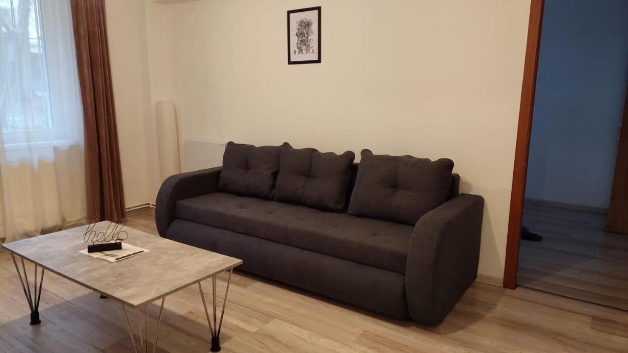 Youth Central Apartment Târgu-Mureş エクステリア 写真