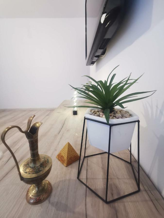 Youth Central Apartment Târgu-Mureş エクステリア 写真