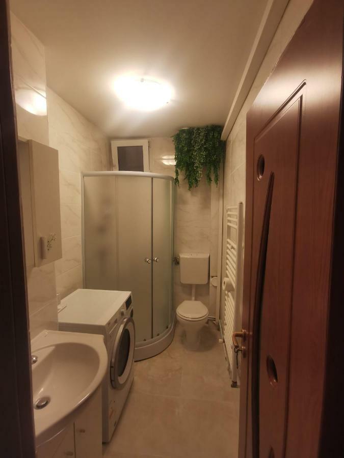 Youth Central Apartment Târgu-Mureş エクステリア 写真